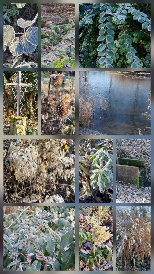 20251122 141733collage