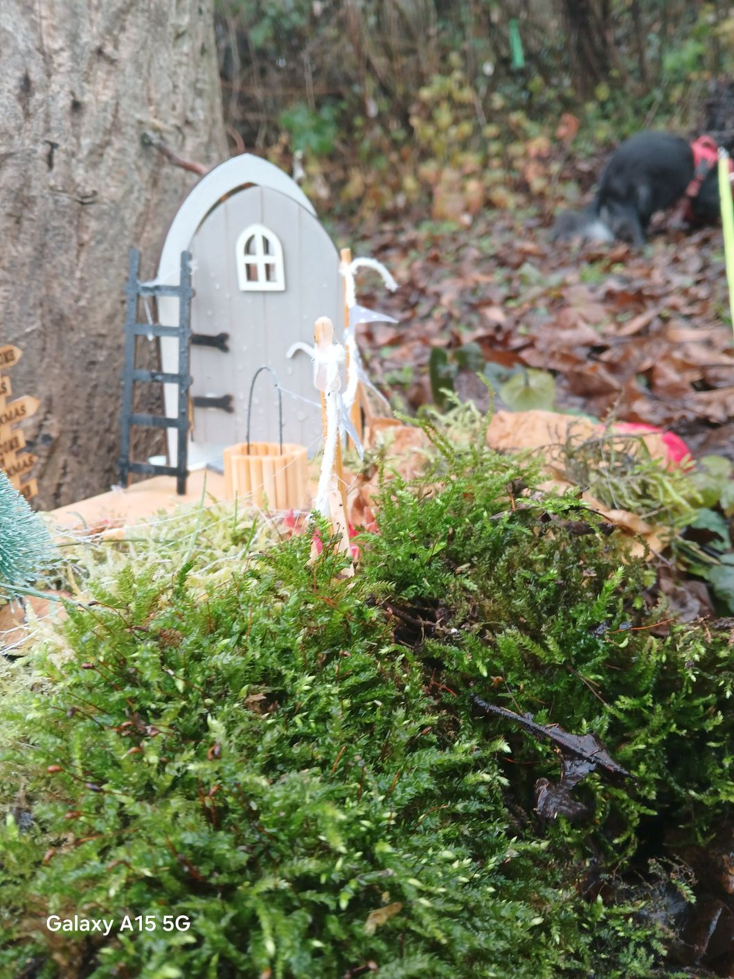 20251129 100700wkleinz