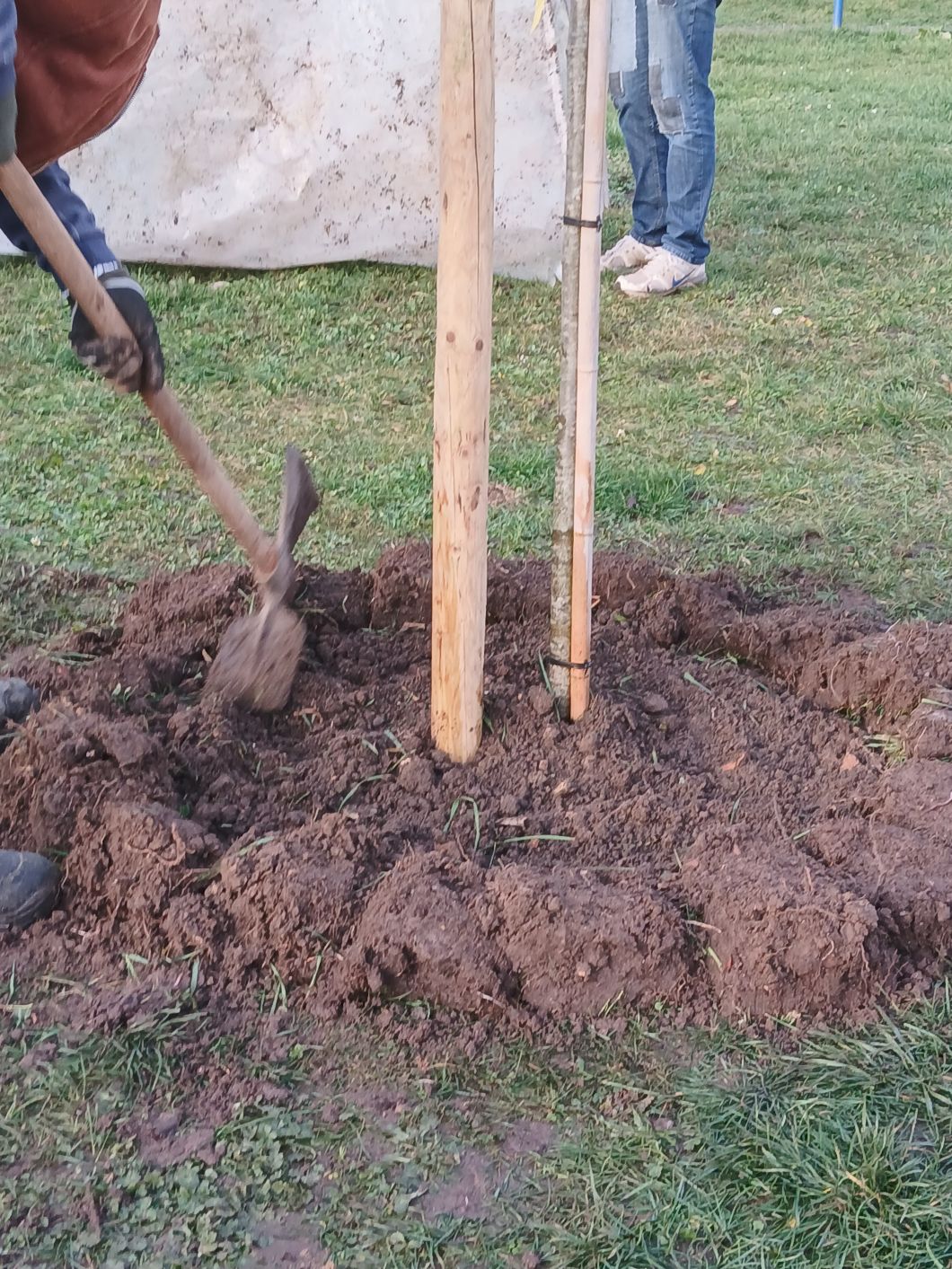 20251209 154326klein