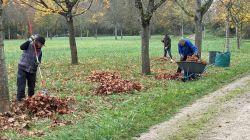 01-PXL_20241111_103923225