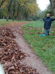 03-IMG-20241111-WA0004