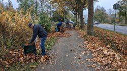 06-PXL_20241111_084730919