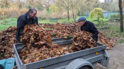 10-PXL_20241111_105853163