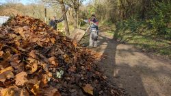 11-PXL_20241128_104559503